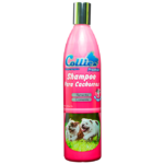 Collie Cachorro