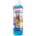 Campeón