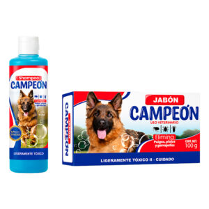 Campeón